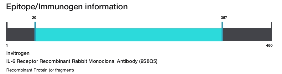 IL-6 Receptor Recombinant Rabbit Monoclonal Antibody (9S8Q5)