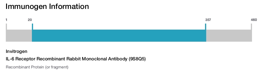 IL-6 Receptor Recombinant Rabbit Monoclonal Antibody (9S8Q5)