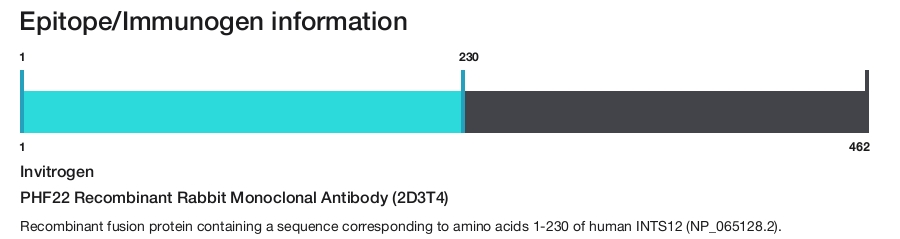PHF22 Recombinant Rabbit Monoclonal Antibody (2D3T4)