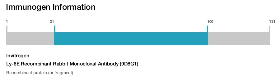 Ly-6E Recombinant Rabbit Monoclonal Antibody (9D8G1)