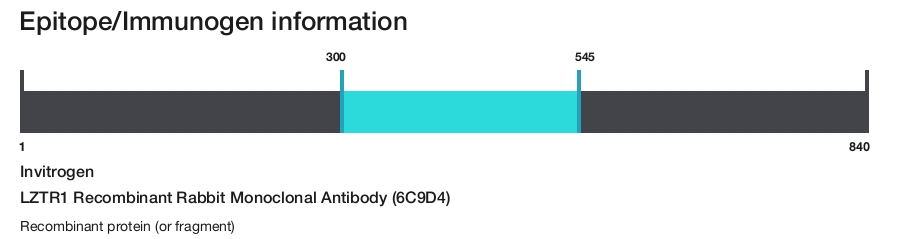 LZTR1 Recombinant Rabbit Monoclonal Antibody (6C9D4)