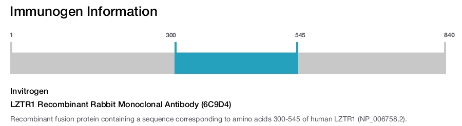 LZTR1 Recombinant Rabbit Monoclonal Antibody (6C9D4)