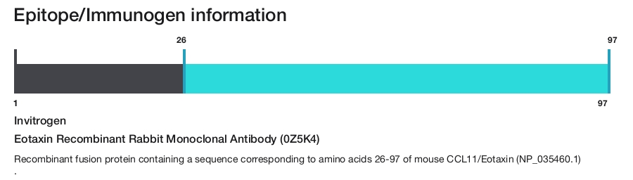 Eotaxin Recombinant Rabbit Monoclonal Antibody (0Z5K4)