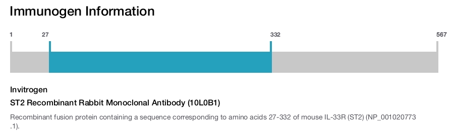 ST2 Recombinant Rabbit Monoclonal Antibody (10L0B1)