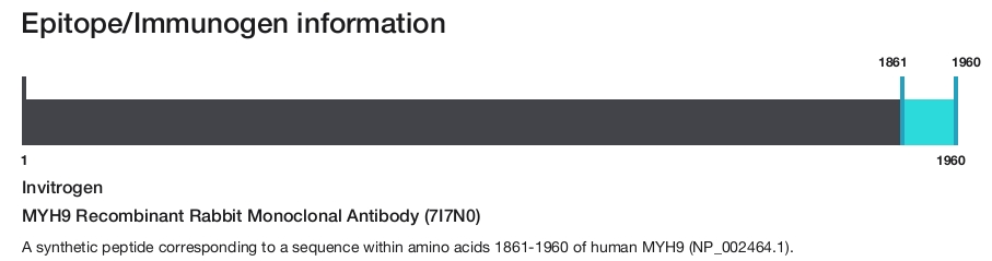 MYH9 Recombinant Rabbit Monoclonal Antibody (7I7N0)