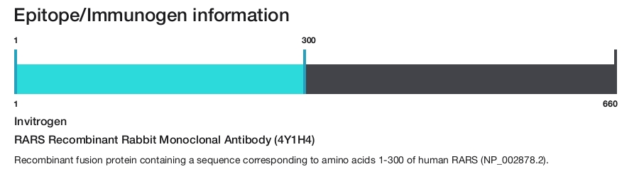 RARS Recombinant Rabbit Monoclonal Antibody (4Y1H4)