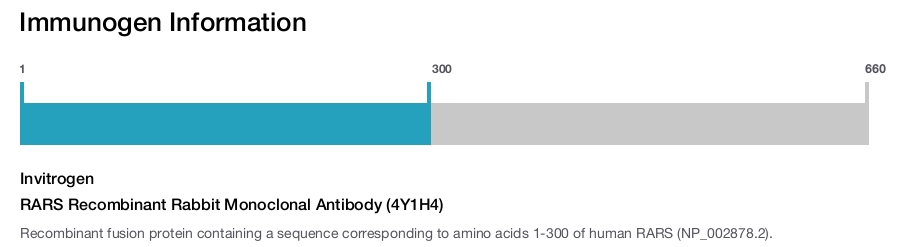 RARS Recombinant Rabbit Monoclonal Antibody (4Y1H4)