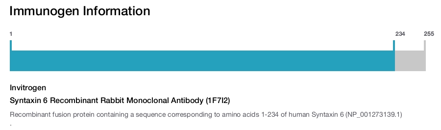 Syntaxin 6 Recombinant Rabbit Monoclonal Antibody (1F7I2)