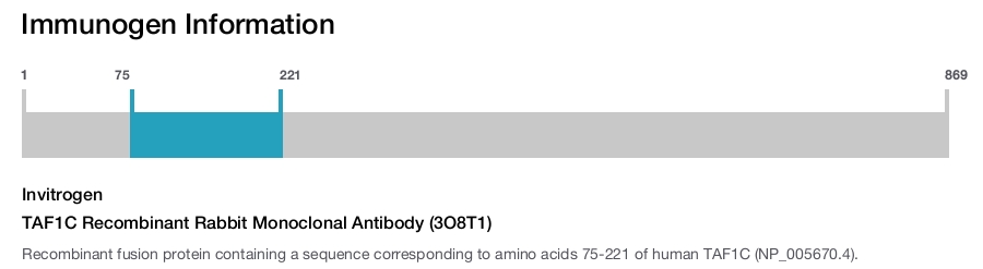 TAF1C Recombinant Rabbit Monoclonal Antibody (3O8T1)