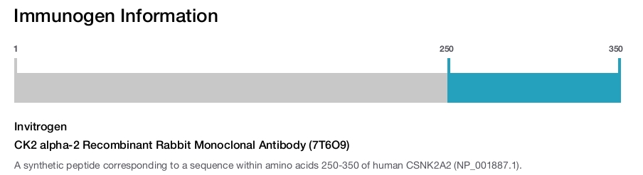 CK2 alpha-2 Recombinant Rabbit Monoclonal Antibody (7T6O9)