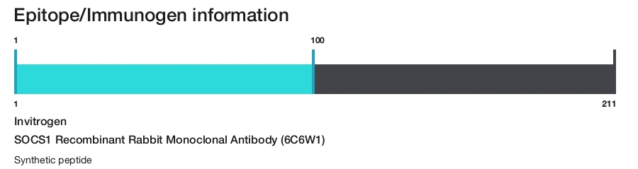 SOCS1 Recombinant Rabbit Monoclonal Antibody (6C6W1)