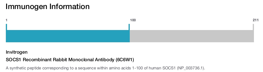 SOCS1 Recombinant Rabbit Monoclonal Antibody (6C6W1)