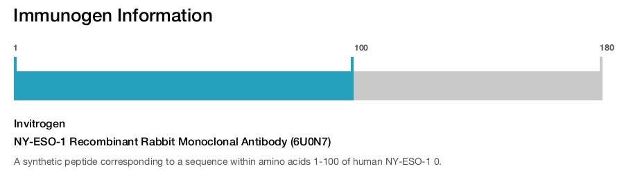 NY-ESO-1 Recombinant Rabbit Monoclonal Antibody (6U0N7)