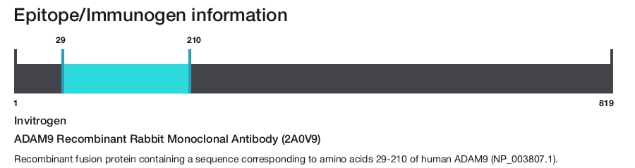 ADAM9 Recombinant Rabbit Monoclonal Antibody (2A0V9)