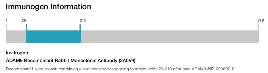 ADAM9 Recombinant Rabbit Monoclonal Antibody (2A0V9)