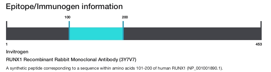 RUNX1 Recombinant Rabbit Monoclonal Antibody (3Y7V7)