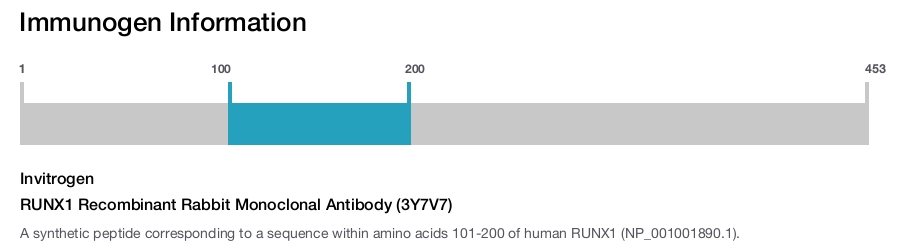 RUNX1 Recombinant Rabbit Monoclonal Antibody (3Y7V7)