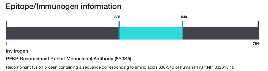 PFKP Recombinant Rabbit Monoclonal Antibody (8Y3S5)