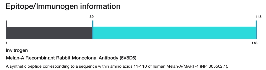 Melan-A Recombinant Rabbit Monoclonal Antibody (6V8D6)