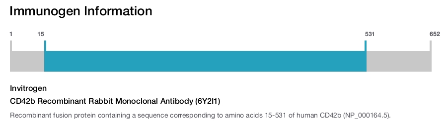CD42b Recombinant Rabbit Monoclonal Antibody (6Y2I1)