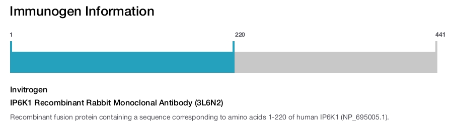 IP6K1 Recombinant Rabbit Monoclonal Antibody (3L6N2)