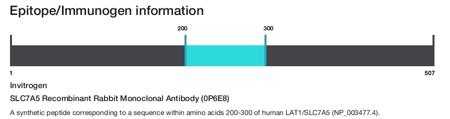 SLC7A5 Recombinant Rabbit Monoclonal Antibody (0P6E8)