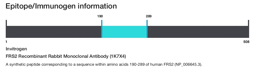 FRS2 Recombinant Rabbit Monoclonal Antibody (1K7X4)