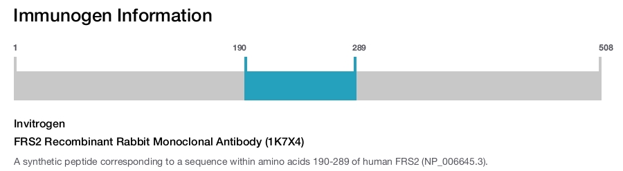 FRS2 Recombinant Rabbit Monoclonal Antibody (1K7X4)