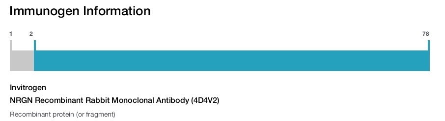 NRGN Recombinant Rabbit Monoclonal Antibody (4D4V2)