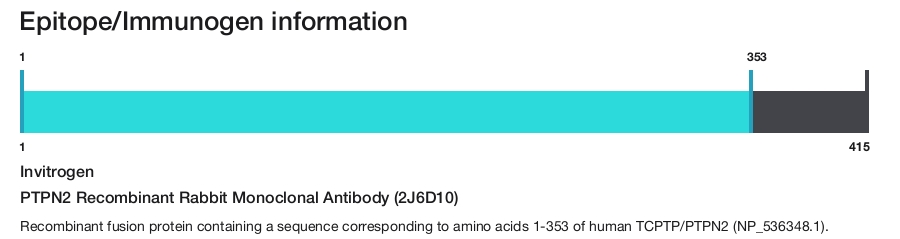 PTPN2 Recombinant Rabbit Monoclonal Antibody (2J6D10)