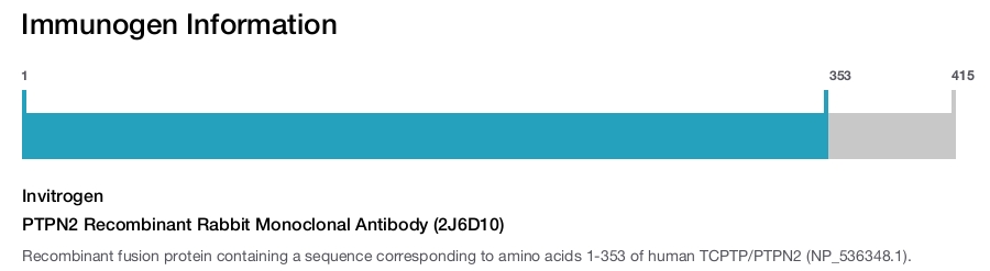PTPN2 Recombinant Rabbit Monoclonal Antibody (2J6D10)