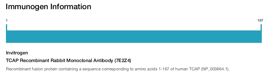 TCAP Recombinant Rabbit Monoclonal Antibody (7E2Z4)