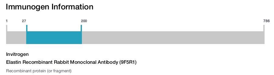 Elastin Recombinant Rabbit Monoclonal Antibody (9F5R1)