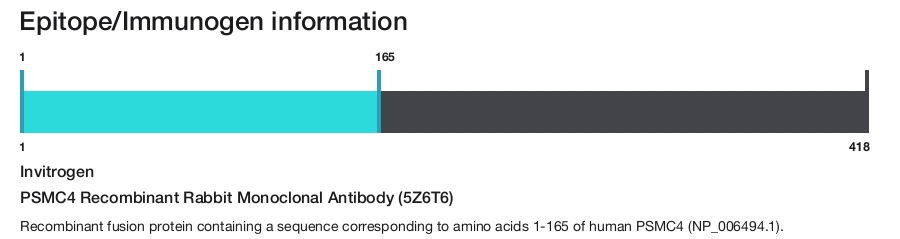 PSMC4 Recombinant Rabbit Monoclonal Antibody (5Z6T6)
