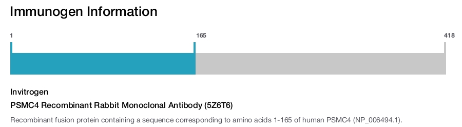 PSMC4 Recombinant Rabbit Monoclonal Antibody (5Z6T6)