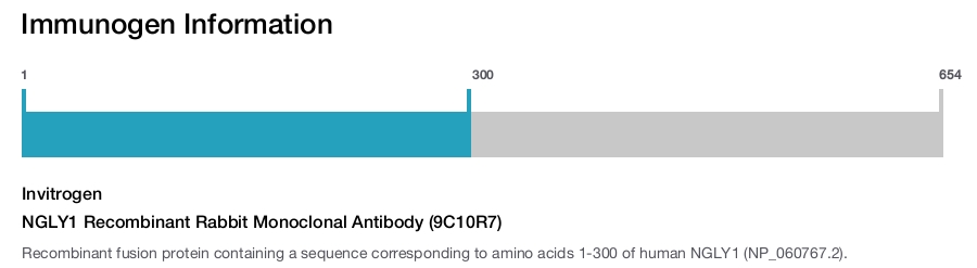 NGLY1 Recombinant Rabbit Monoclonal Antibody (9C10R7)