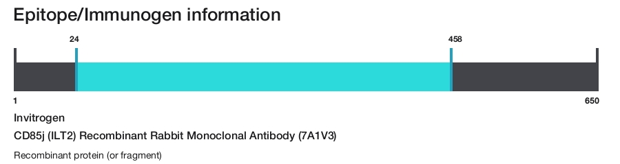 CD85j (ILT2) Recombinant Rabbit Monoclonal Antibody (7A1V3)