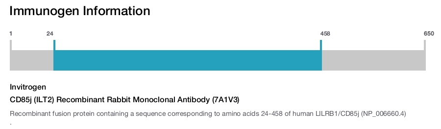 CD85j (ILT2) Recombinant Rabbit Monoclonal Antibody (7A1V3)