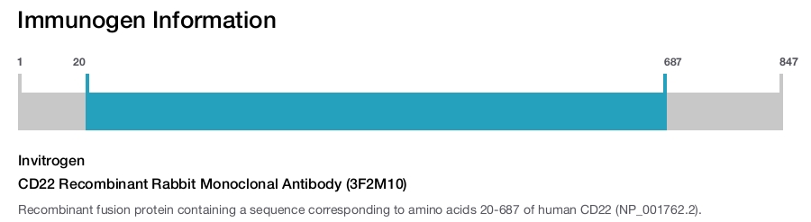 CD22 Recombinant Rabbit Monoclonal Antibody (3F2M10)