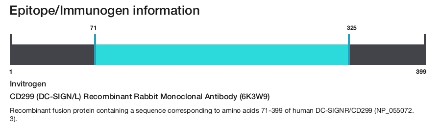 CD299 (DC-SIGN/L) Recombinant Rabbit Monoclonal Antibody (6K3W9)