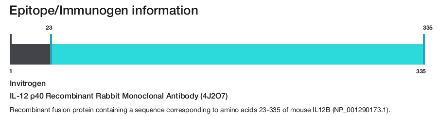 IL-12 p40 Recombinant Rabbit Monoclonal Antibody (4J2O7)