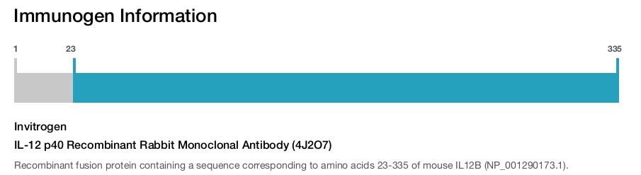 IL-12 p40 Recombinant Rabbit Monoclonal Antibody (4J2O7)
