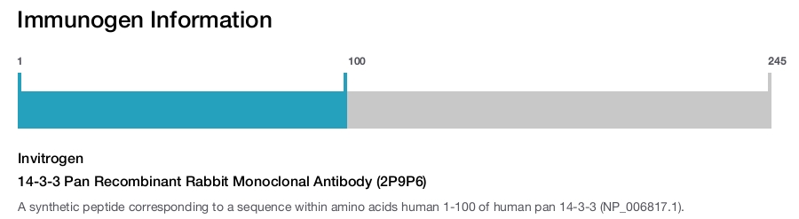 14-3-3 Pan Recombinant Rabbit Monoclonal Antibody (2P9P6)