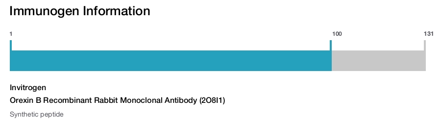 Orexin B Recombinant Rabbit Monoclonal Antibody (2O8I1)