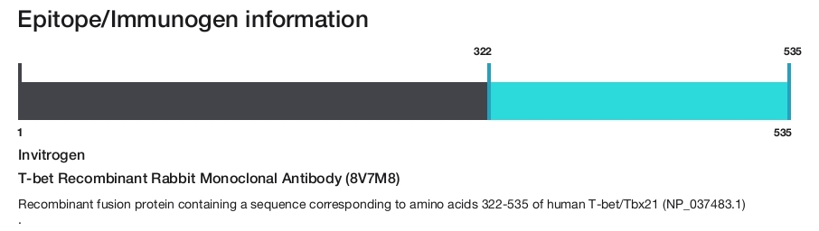 T-bet Recombinant Rabbit Monoclonal Antibody (8V7M8)