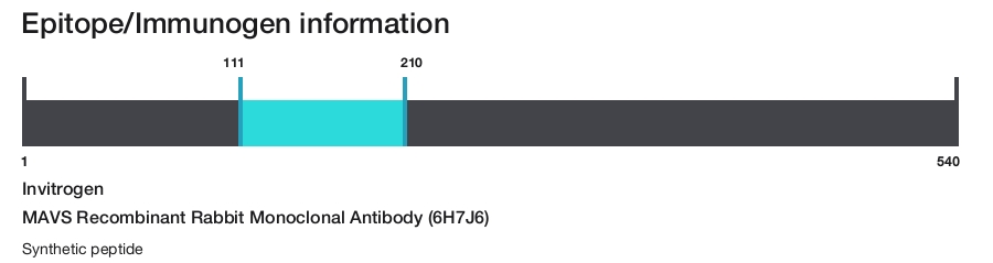 MAVS Recombinant Rabbit Monoclonal Antibody (6H7J6)