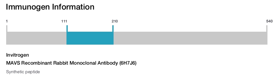 MAVS Recombinant Rabbit Monoclonal Antibody (6H7J6)