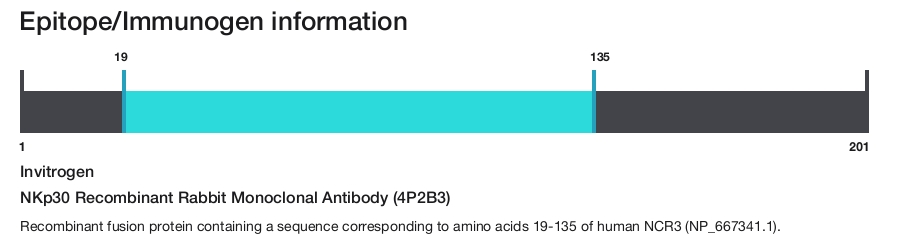 NKp30 Recombinant Rabbit Monoclonal Antibody (4P2B3)