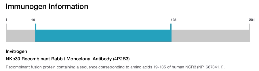 NKp30 Recombinant Rabbit Monoclonal Antibody (4P2B3)