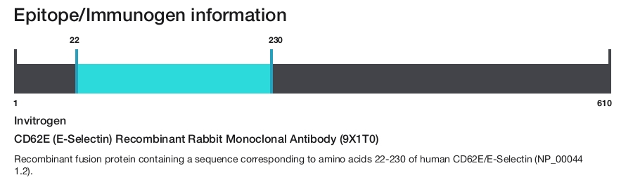 CD62E (E-Selectin) Recombinant Rabbit Monoclonal Antibody (9X1T0)